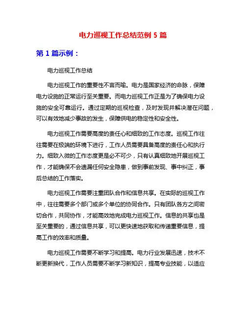 电力巡视工作总结范例5篇