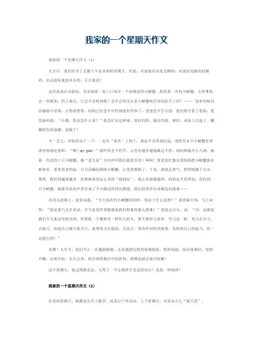 我家的一个星期天作文