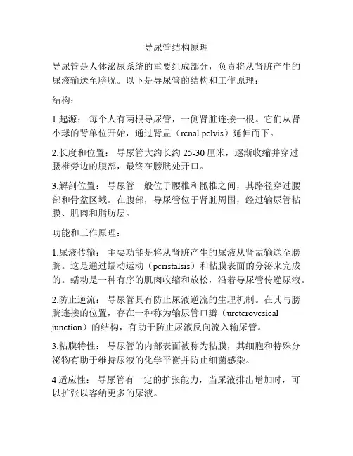导尿管结构原理