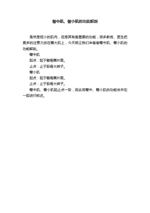 臀中肌、臀小肌的功能解剖