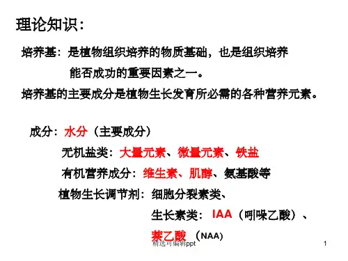 母液的配制