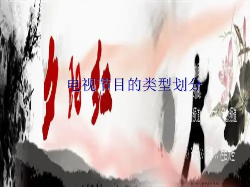 电视节目类型划分