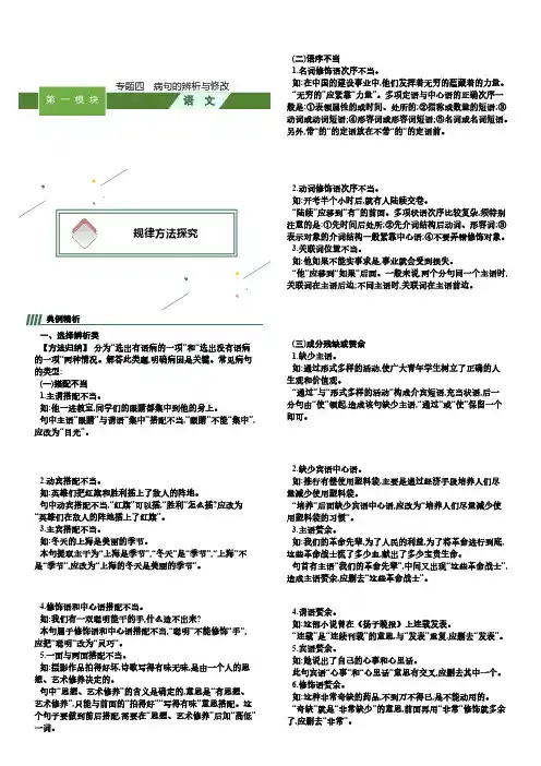 专题4 病句的辨析与修改