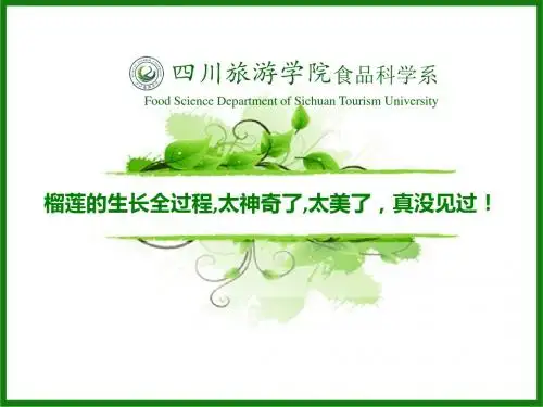 榴莲的生长全过程,太神奇了,太美了,真没见过!