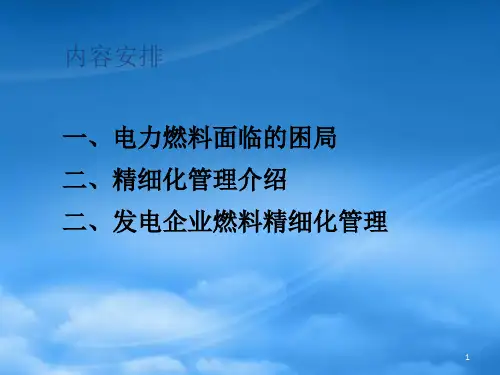 电力燃料精益化管理