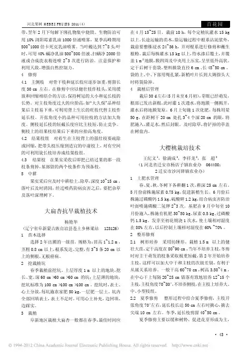 大樱桃栽培技术