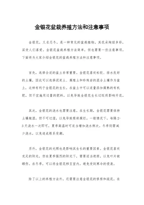 金银花盆栽养殖方法和注意事项
