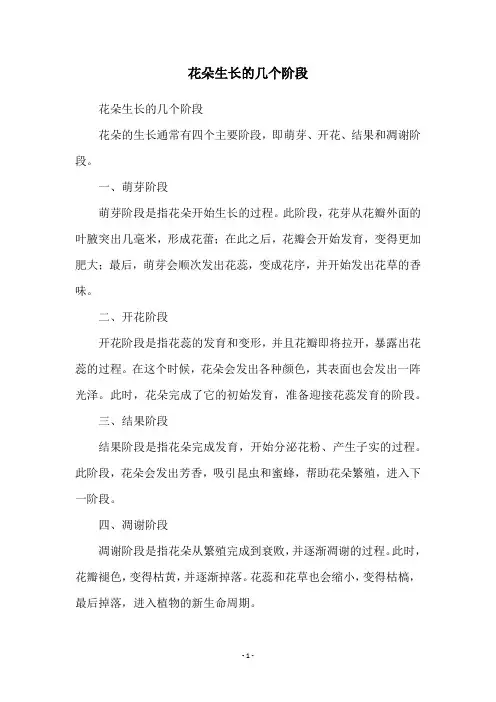 花朵生长的几个阶段