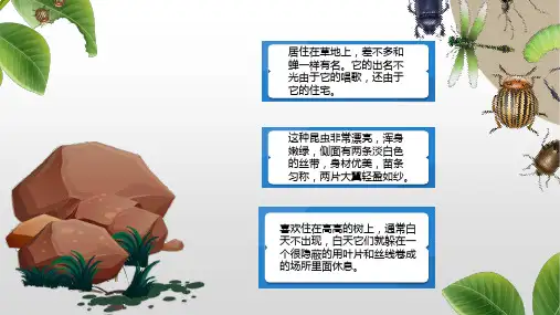 八年级语文上册第五单元名著导读《昆虫记》课件