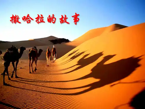 三毛介绍PPT