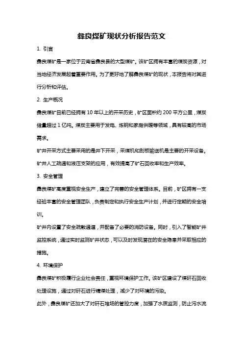 彝良煤矿现状分析报告范文