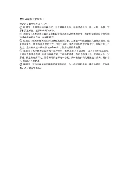 昆虫口器的主要类型