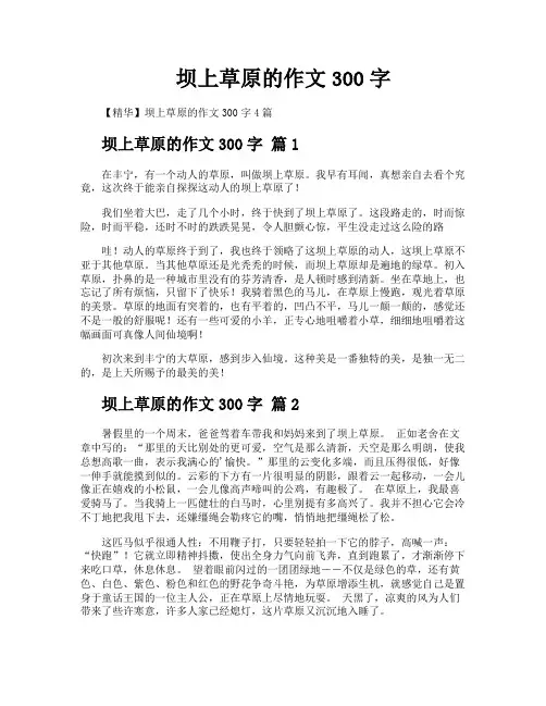 坝上草原的作文300字