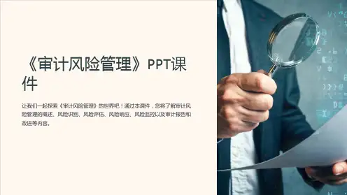 《审计风险管理》课件