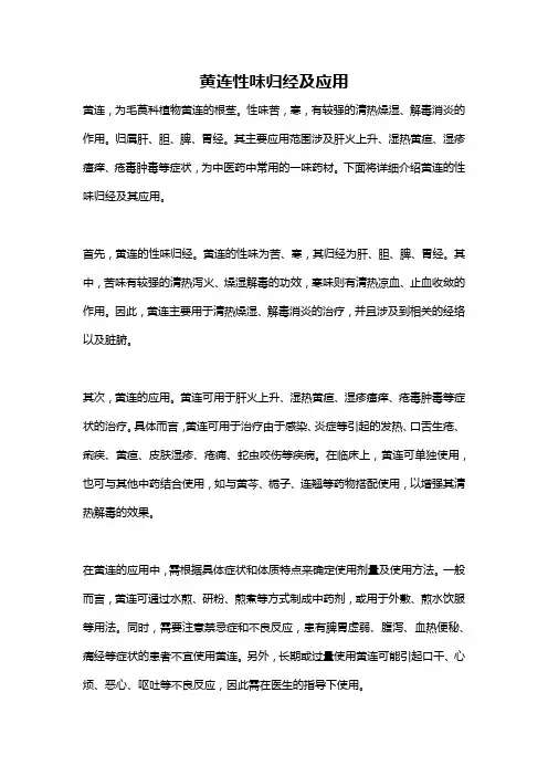 黄连性味归经及应用