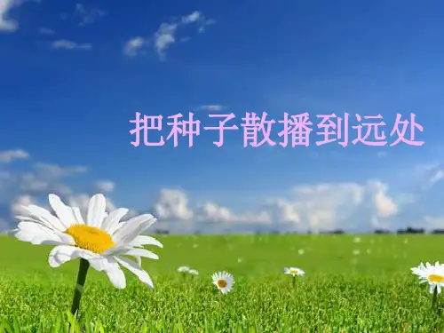 《把种子散播到远处》课件