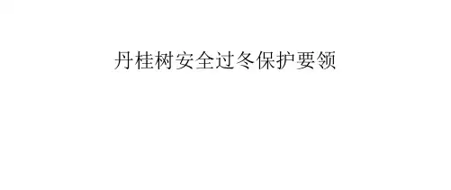 丹桂树安全过冬保护要领
