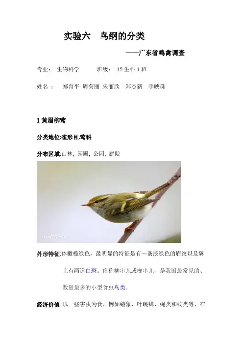实验六,鸟纲的分类