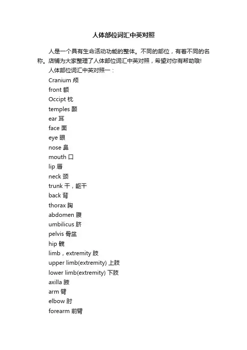 人体部位词汇中英对照