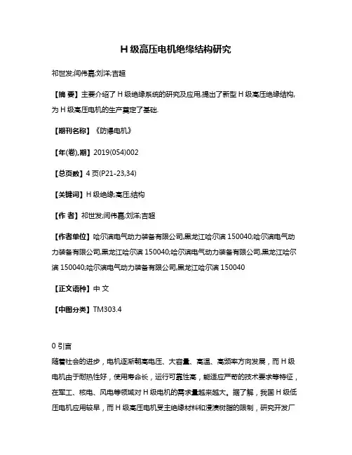 H级高压电机绝缘结构研究