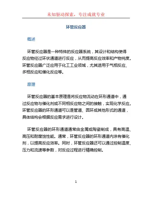 环管反应器