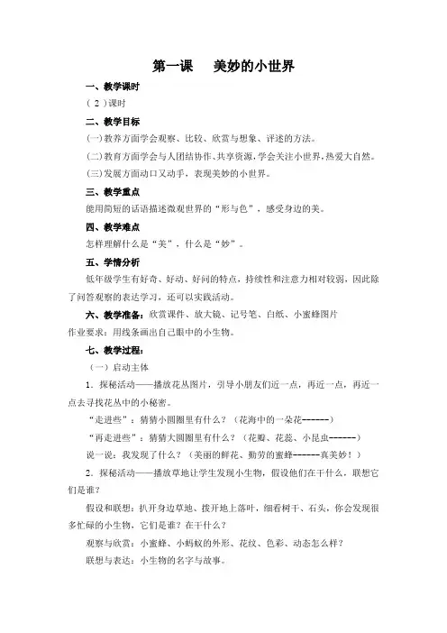 美妙的小世界教案+课后反思