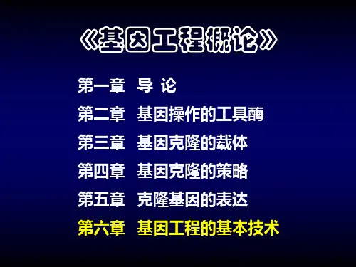 基因工程chapt6