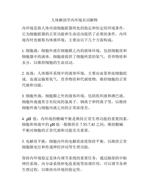 人体解剖学内环境名词解释