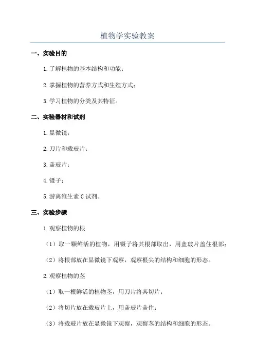 植物学实验教案