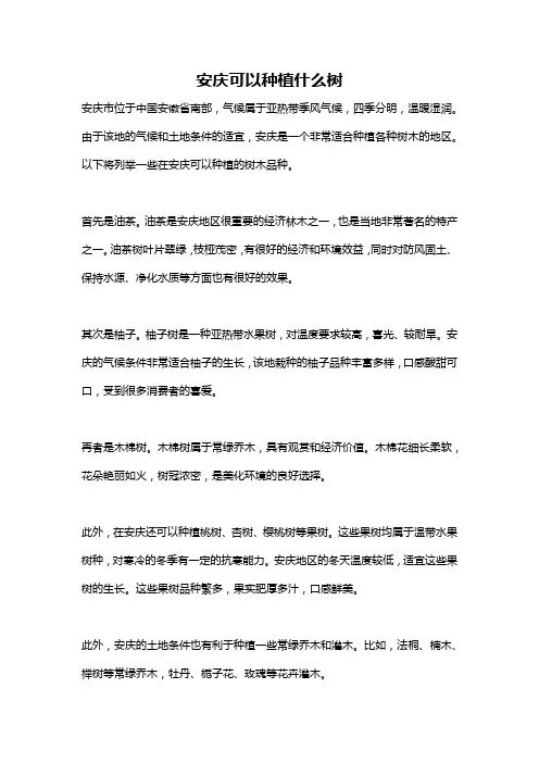 安庆可以种植什么树