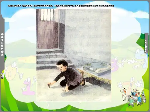 《小萝卜头的故事》教学课件(共11张PPT)