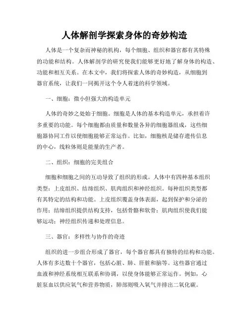 人体解剖学探索身体的奇妙构造
