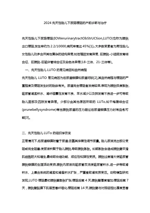 2024先天性胎儿下尿路梗阻的产前诊断与治疗