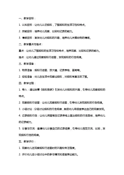 中班科学教案：蚂蚁行进图