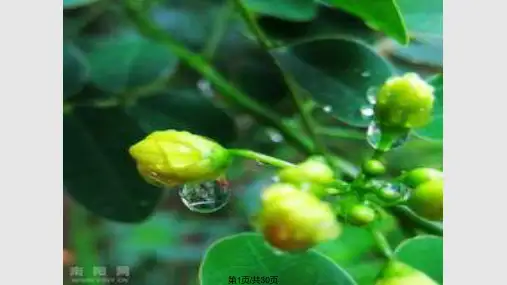 小水滴的旅行PPT课件