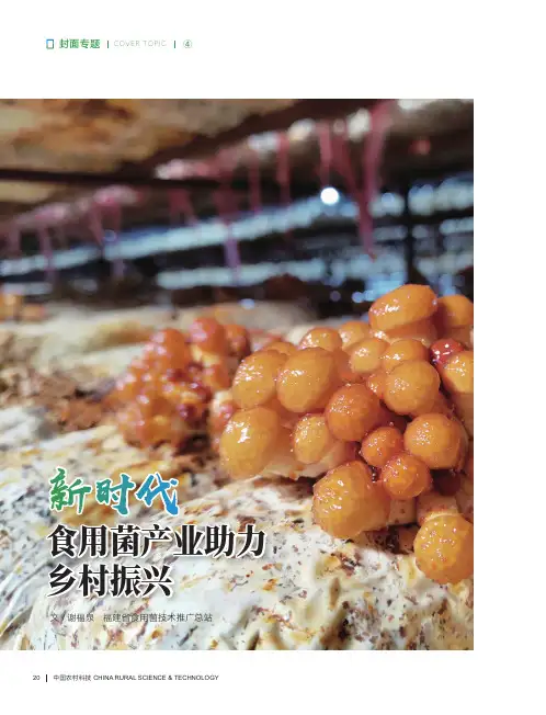 新时代食用菌产业助力乡村振兴