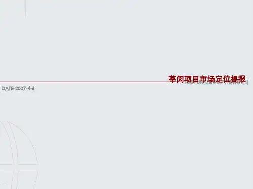 某地区市场定位管理及项目管理知识分析提报(PPT 34页)