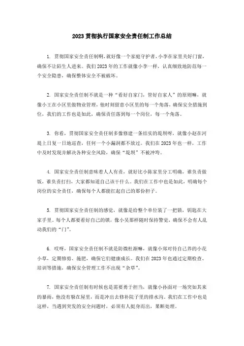 2023贯彻执行国家安全责任制工作总结