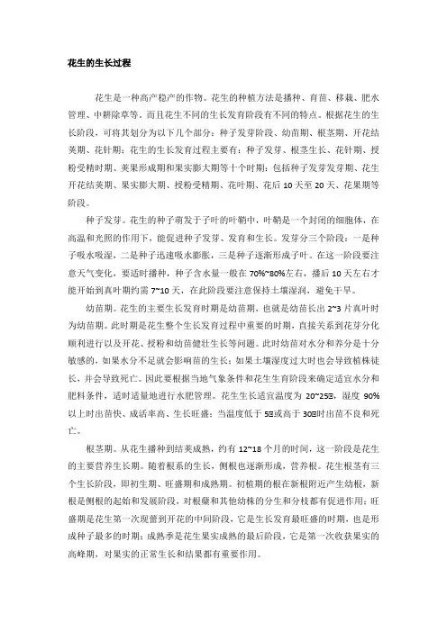 花生生长过程
