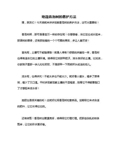 地栽香泡树的养护方法