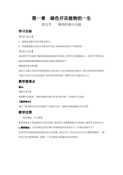 济南版生物八年级上册教案-第4单元第一章第5节根的结构与功能