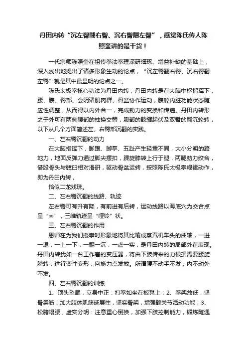 丹田内转“沉左臀翻右臀、沉右臀翻左臀”，感觉陈氏传人陈照奎讲的是干货！