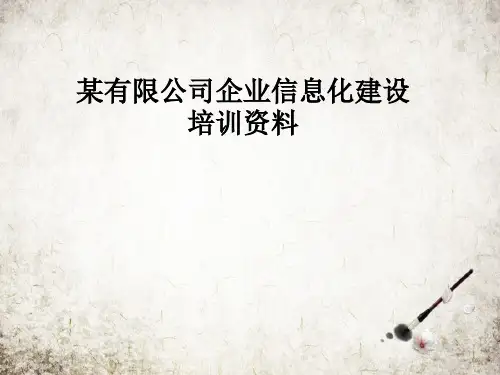 某有限公司企业信息化建设培训资料.PPT