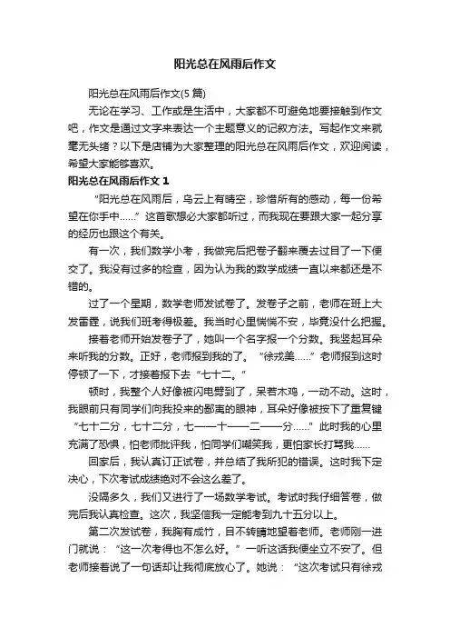 阳光总在风雨后作文