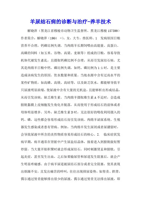 羊尿结石病的诊断与治疗 - 养羊技术