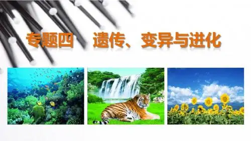 步步高2015高考生物二轮课件：专题4.1遗传的分子基础