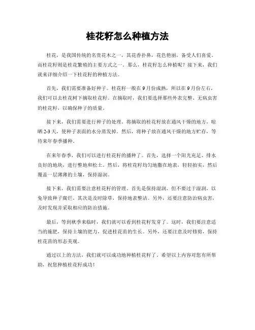 桂花籽怎么种植方法