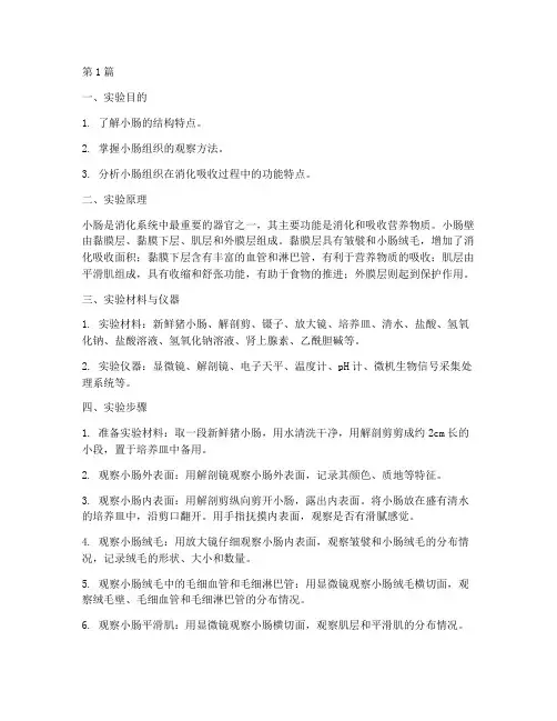 小肠组织观察实验报告(3篇)