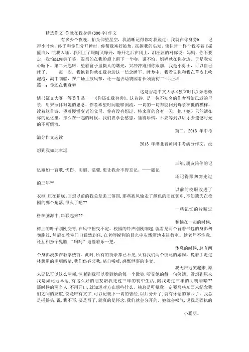 你就在我身旁(300字)作文