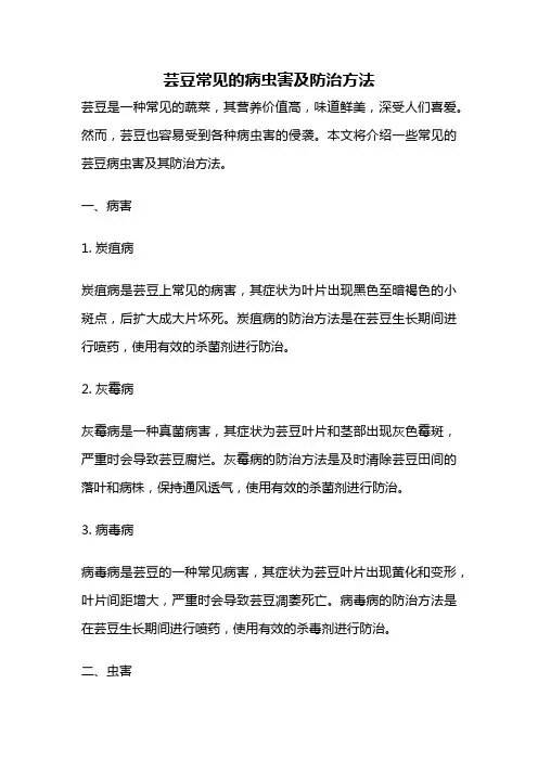 芸豆常见的病虫害及防治方法